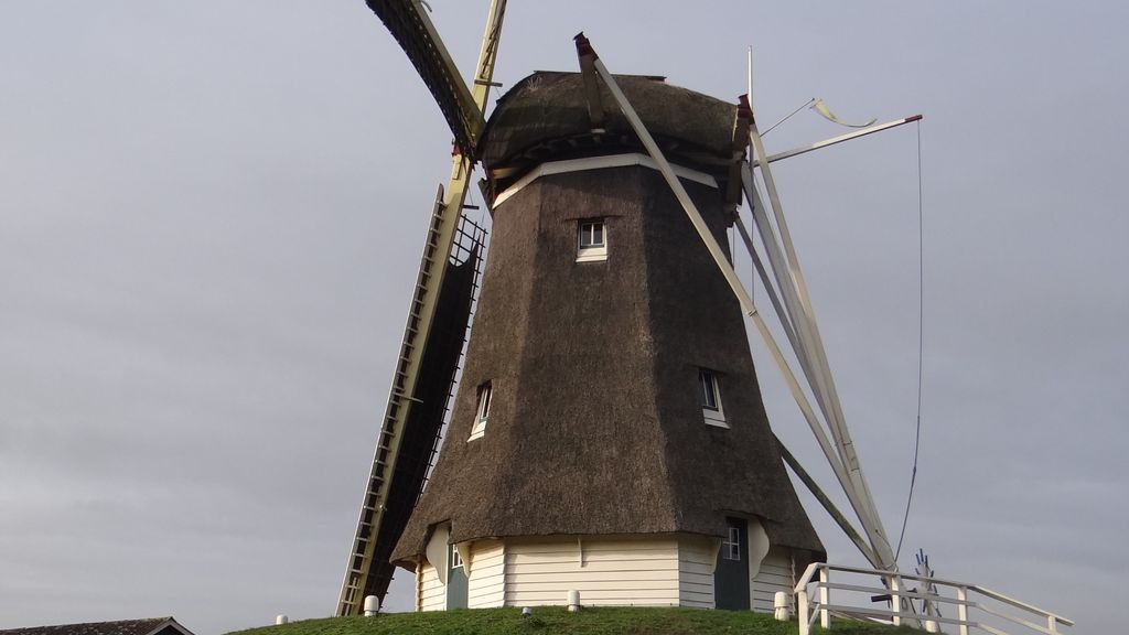 Foto: Volgend jaar nieuwe kap op Molen de Duif