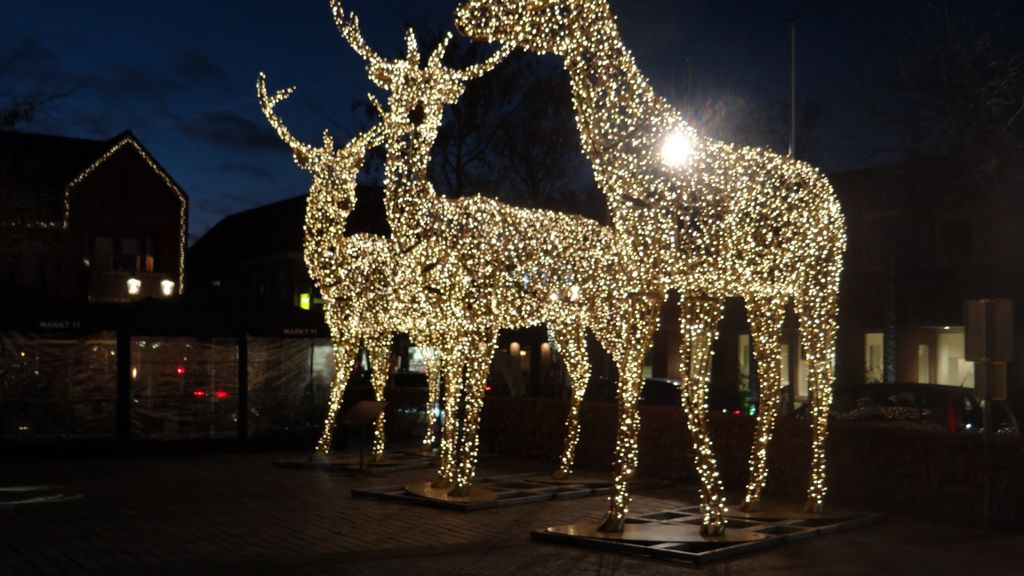 Foto: De verlichte herten staan weer op het Marktplein