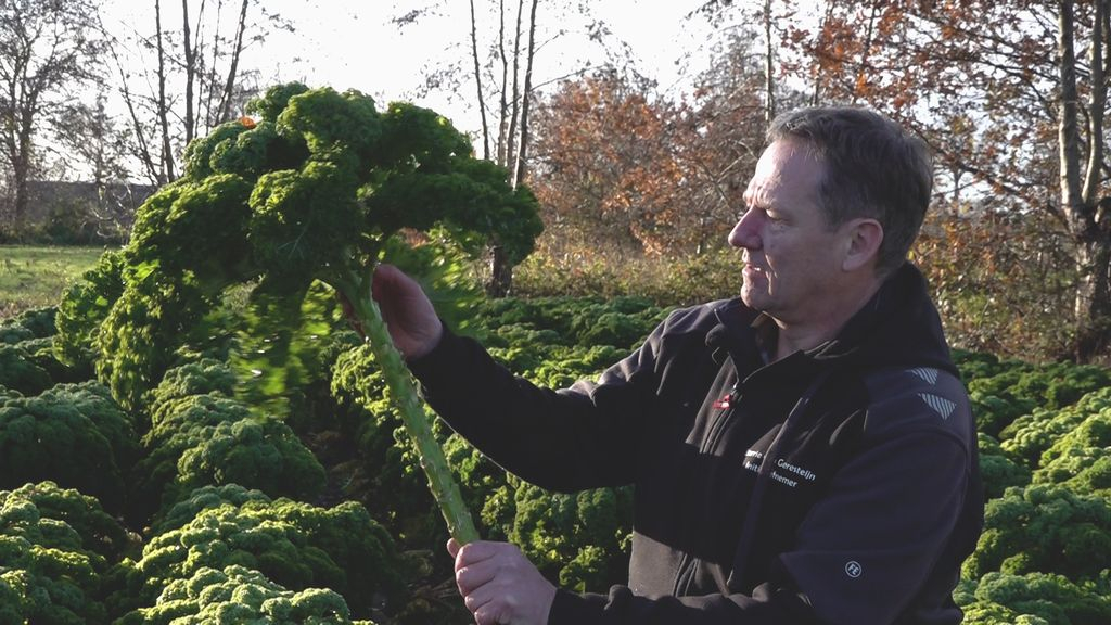 Foto: Eerlijk Eten uit de Streek wil groeien om te overleven