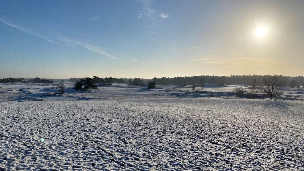 Foto: Kootwijk wil provinciale recreatieplannen van tafel: 'Het is een zwaktebod'