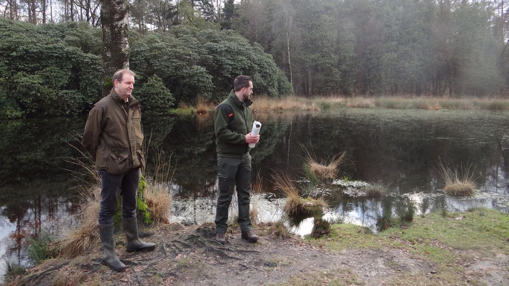 Foto: Nieuw huiswerk voor Staatsbosbeheer over plannen omgeving rododendrons