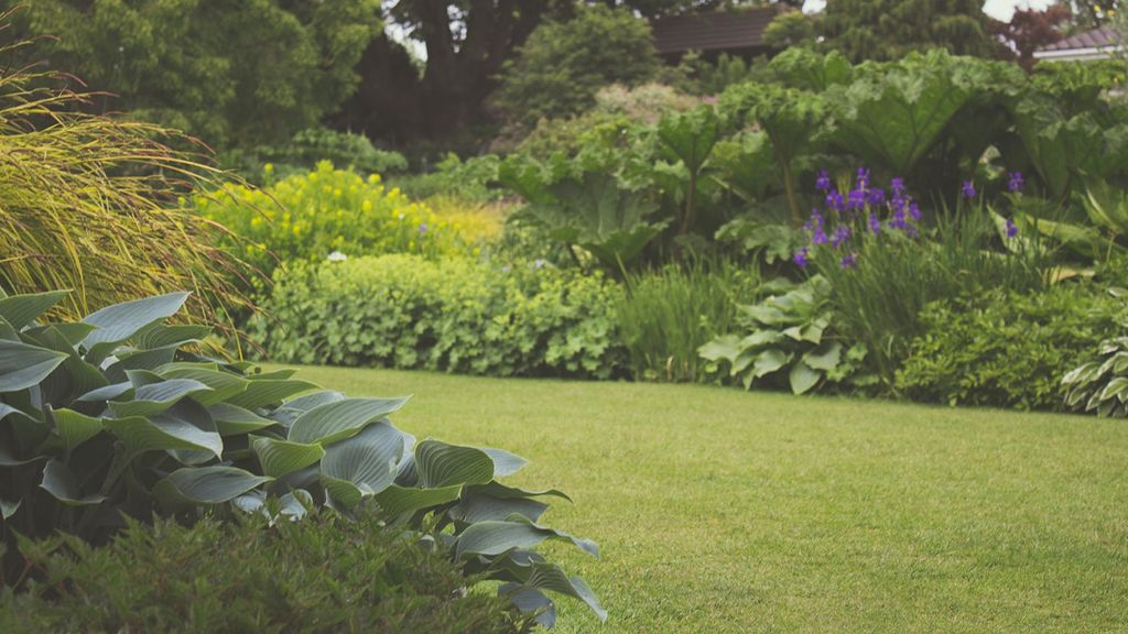 Foto: Gemeente pakt onrechtmatig grondgebruik aan