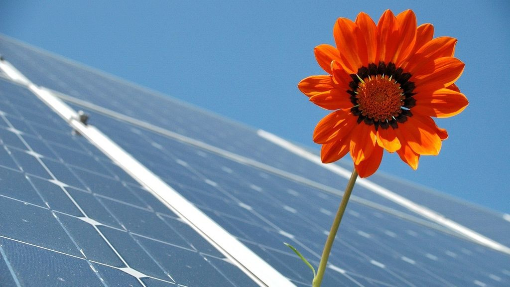 Foto: Sterke groei in opwek van energie uit zon en wind in Nunspeet