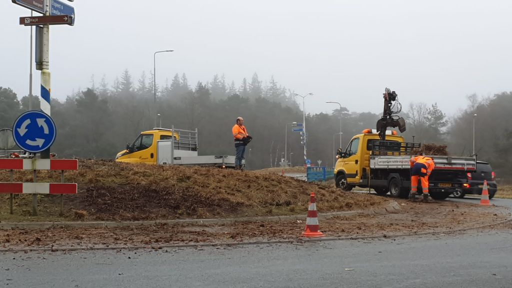 Foto: Dode resten afgemaaid van rotonde Elspeterweg