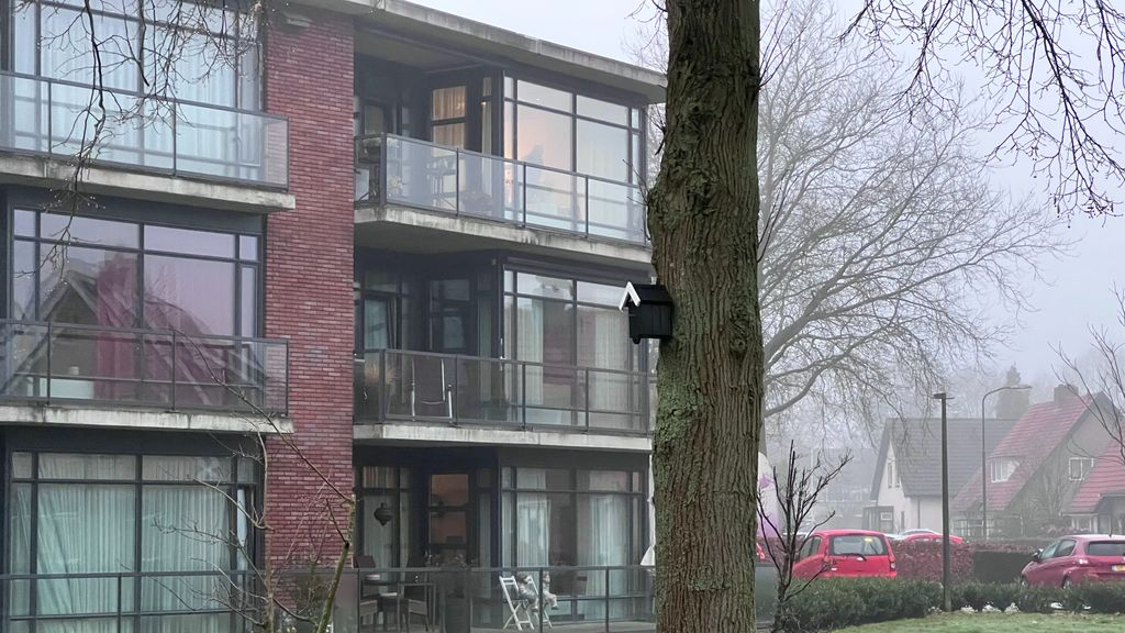 Foto: Nieuwe broedlocatie voor huismussen aan de Winckelweg
