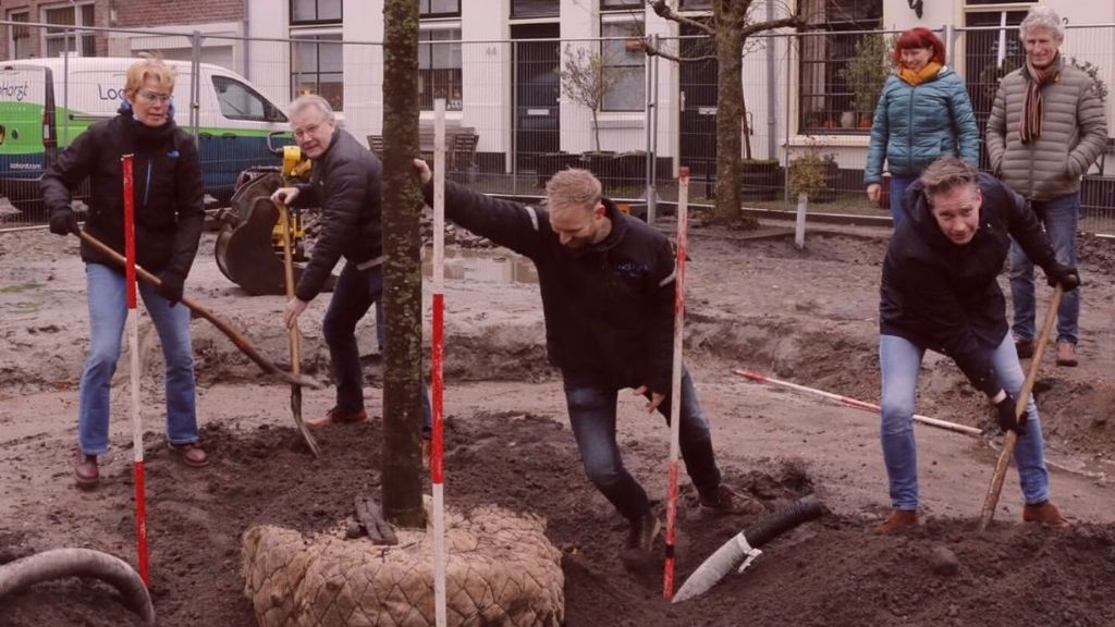 Foto: Nieuwe Beatrixboom geplant in Harderwijk