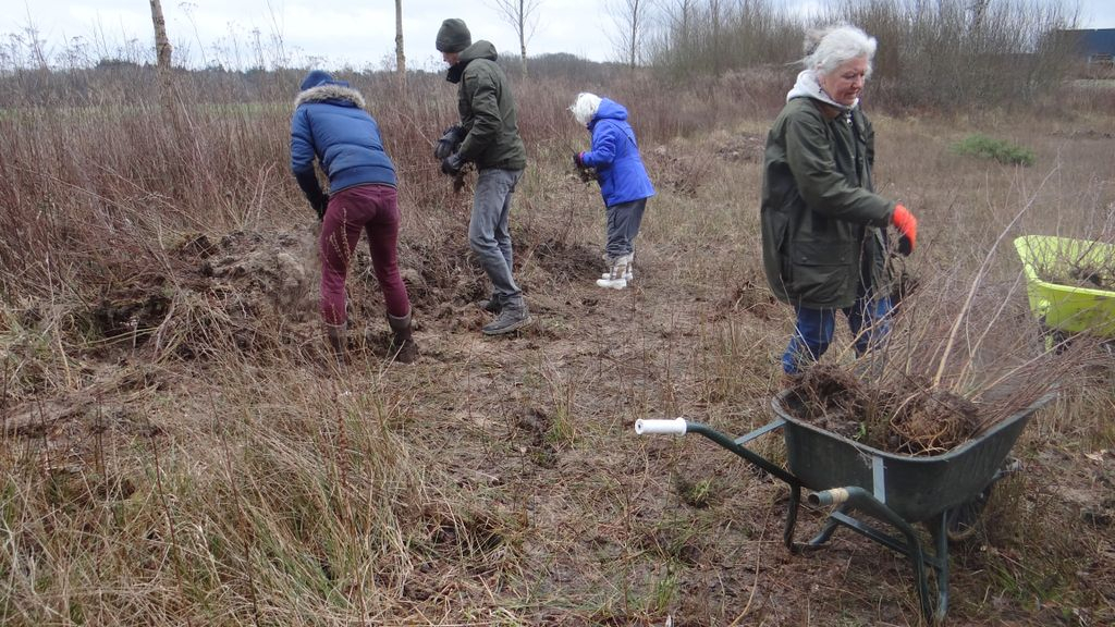 Foto: Vrijwilligers geven jonge zaailingen een nieuwe kans