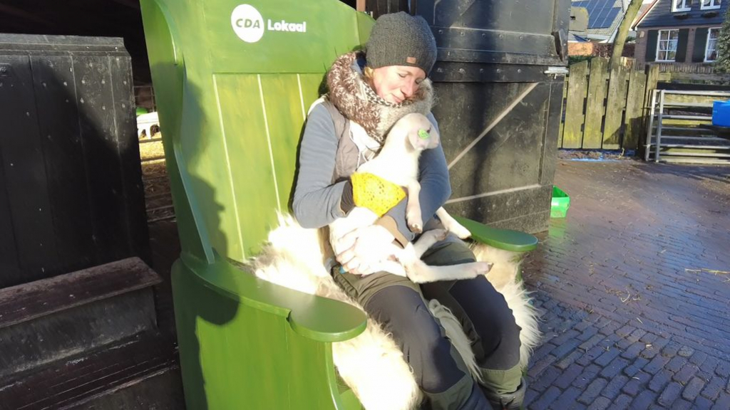 Foto: Schaapherder Daphne krijgt lambing chair overhandigd