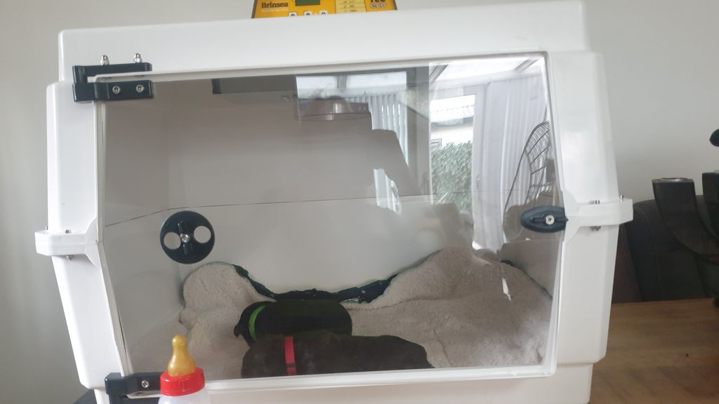 Foto: Dierenambulance Nijkerk e.o. ontvangt couveuse dankzij actie van Glazen Thuis