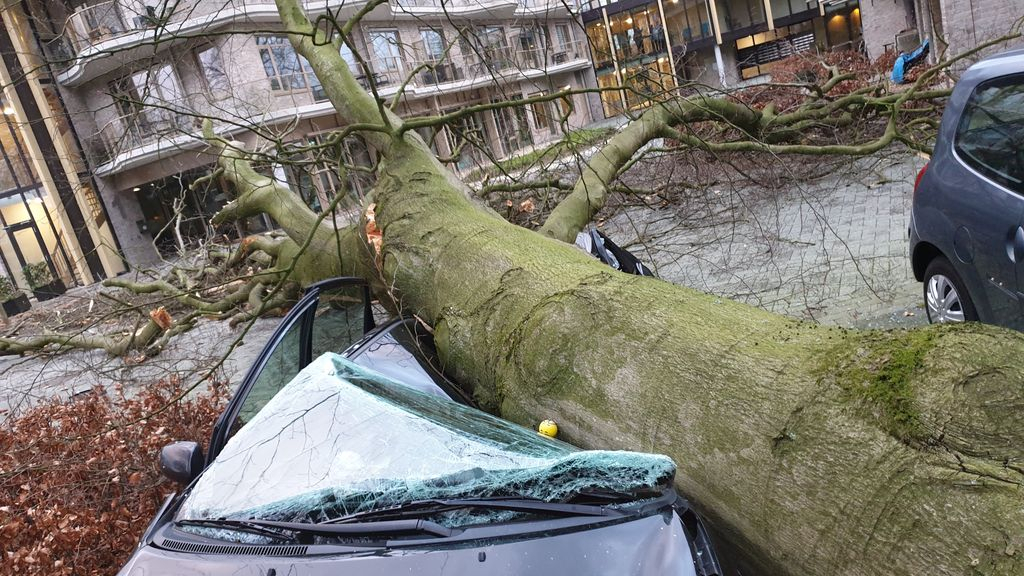 Foto: Storm Eunice raast over Nunspeet; grote boom valt boven op auto Veluwse Heuvel
