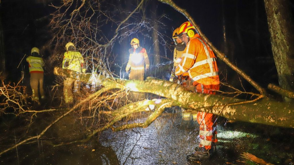 Foto: Omgevallen boom verspert de weg in Doornspijk