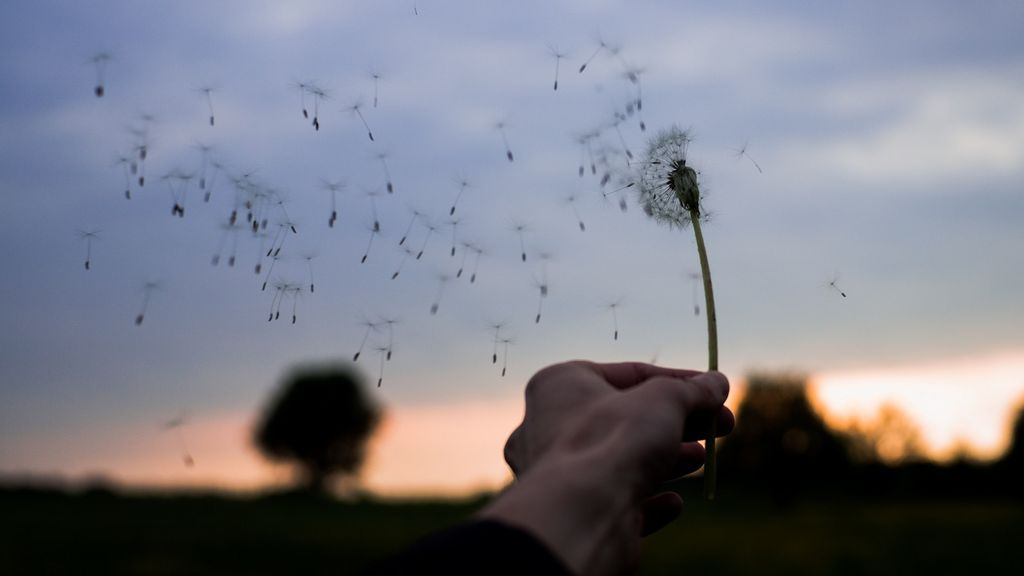 Foto: Is jouw tuinset ook naar Duitsland gewaaid? Koop een nieuwe bij Van der Garde!