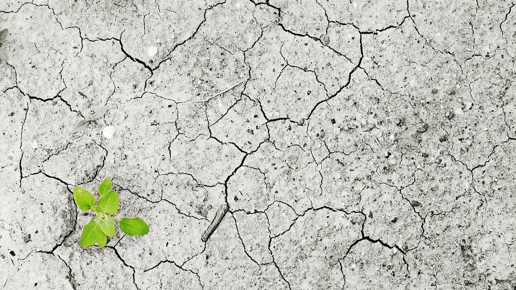 Foto: Nunspeet zoekt Klimaatburgemeester