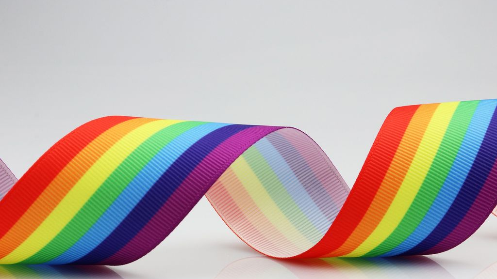 Foto: True Colors Nunspeet krijgt subsidie van Van den Broek Lohman Fonds