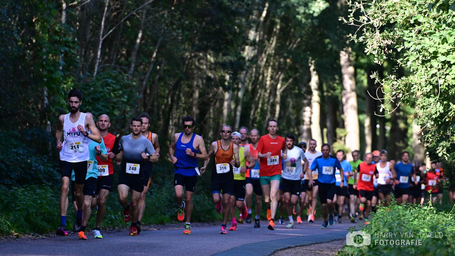 Foto: Record aantal deelnemers Veluwepoortloop