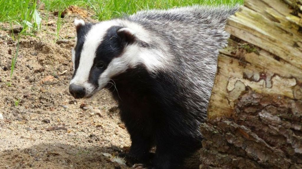 Foto: Bedrijventerrein Elspeet mag er komen; das heeft genoeg ruimte volgens raad