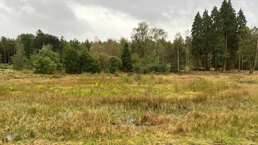 Foto: Werkzaamheden Zandenbosvennen in volle gang