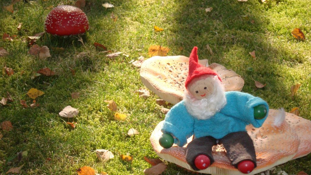 Foto: Herfst, kabouters, pompoenen en roering in de polder