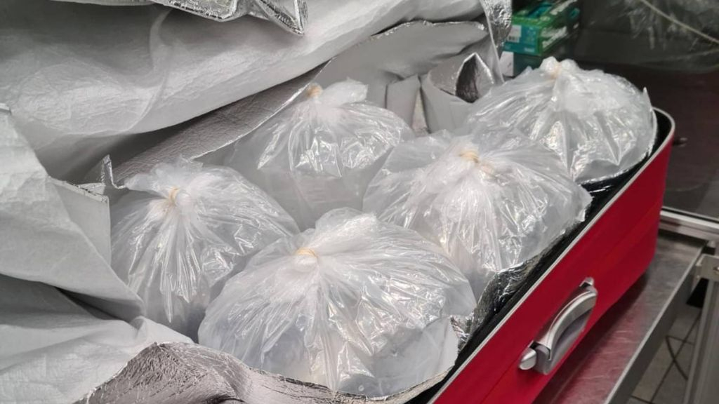 Foto: 300.000 palingen die verstopt zaten in koffers uitgezet in Randmeren