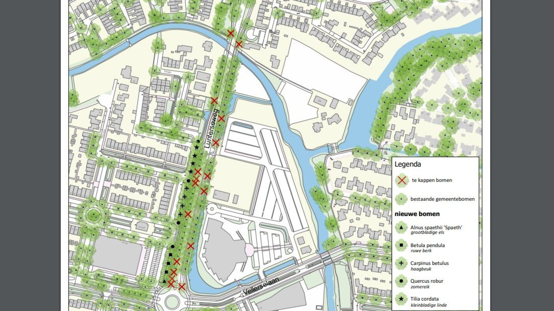 Foto: Boombeheer Lunterseweg