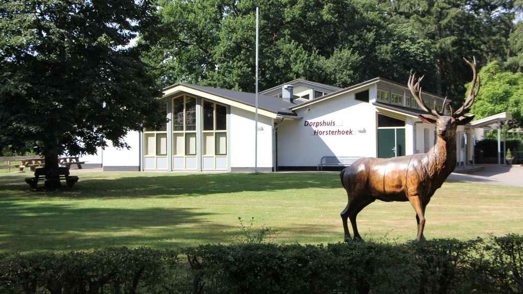 Foto: Eenmalige coronasubsidie voor Dorpshuizen De Wieken en Horsterhoek