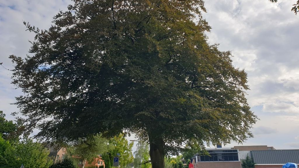 Foto: Woning Brinkersweg gesloopt