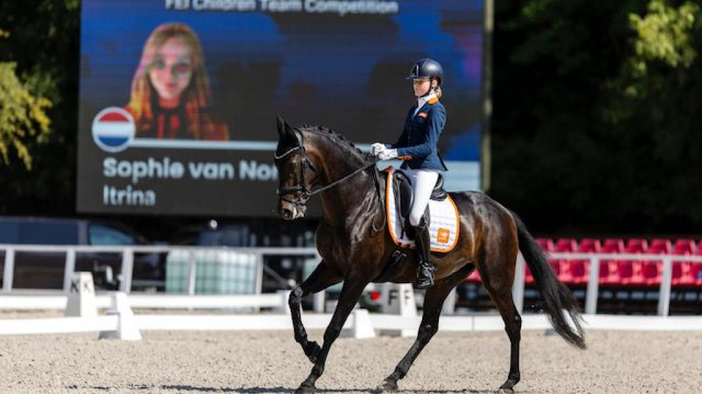 Foto: Sophie van Norel (14) behaalde brons en zilver op het EK Children dressuur in Hongarije