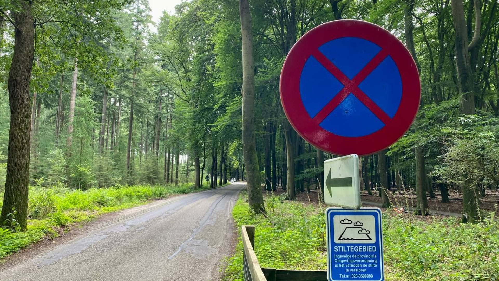 Foto: Gemeentebelang wil snel gesprek tussen alle belanghebbenden Gortelseweg Vierhouten