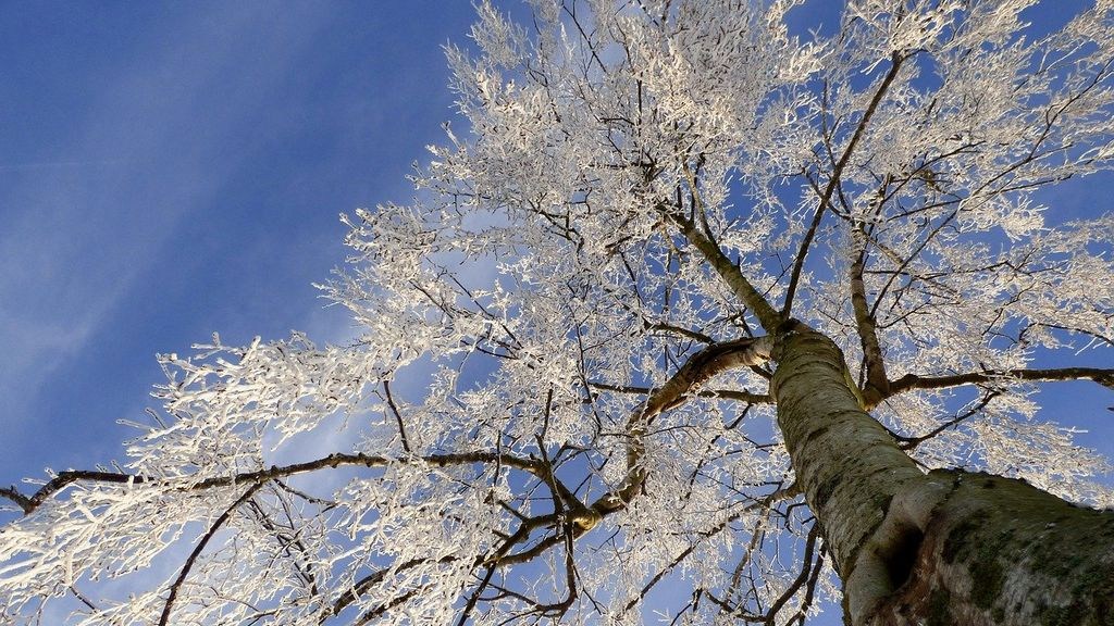 Foto: Met deze schoenen trotseer jij de kou!