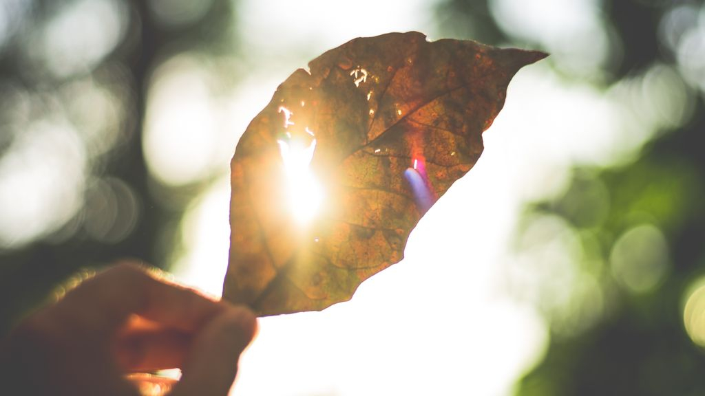 Foto: Meer lichtinval en een klassiek/moderne uitstraling: bekijk deze 5 woonideeën