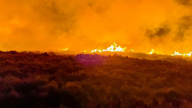 Foto: Opnieuw flinke heidebrand, overlast voor omgeving