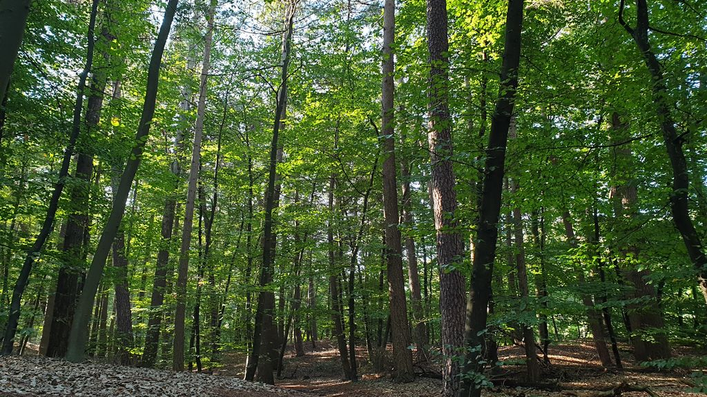 Foto: Uitbreiding Buitencentrum Veluwe Noord na 10 jaar stapje dichterbij