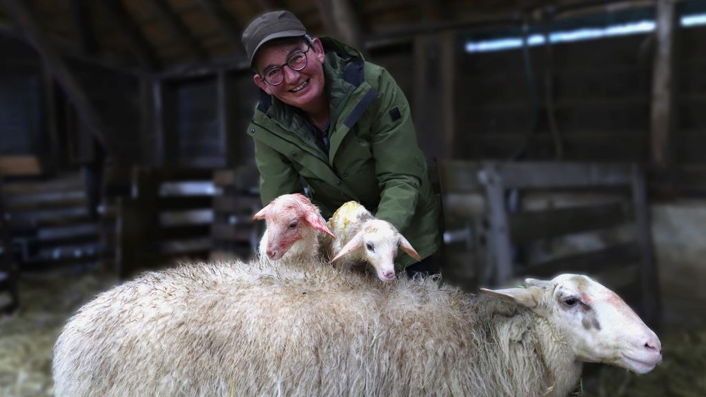 Foto: Eerste lammetjes hier geboren: 'Binnenkort kun je ze aaien'