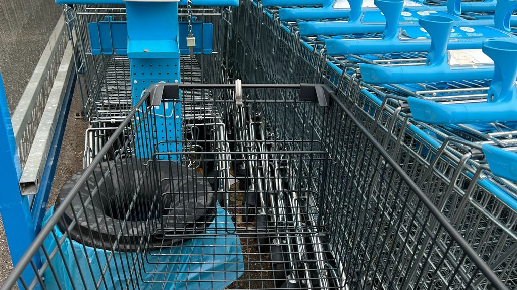 Foto: Winkelwagen aan de wandel