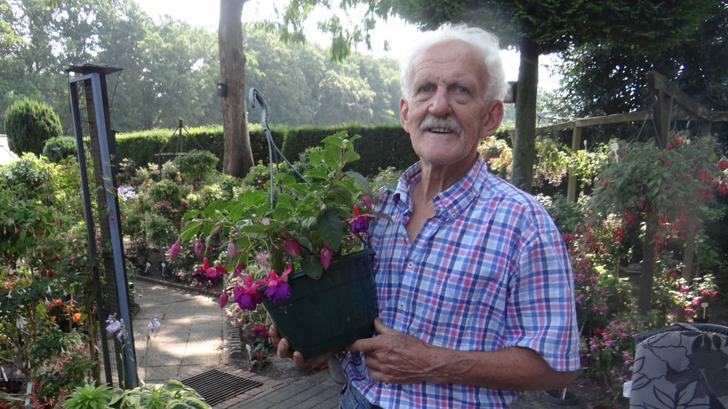 Foto: Hobbykweker Gert Jan: 