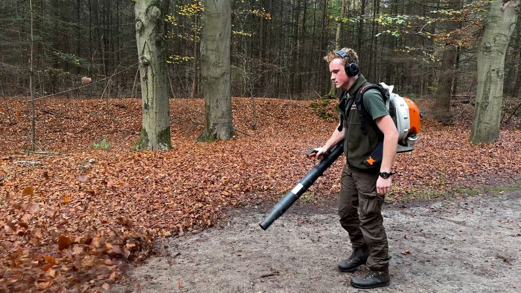 Foto: Bladblazen in het bos, gekkenwerk of toch zo gek nog niet?