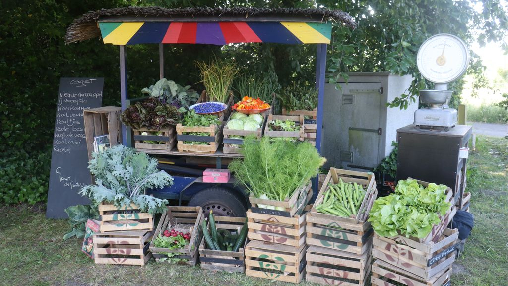 Foto: Kennismaken met de zorgboerderij De Grote Wiede in Hulshorst