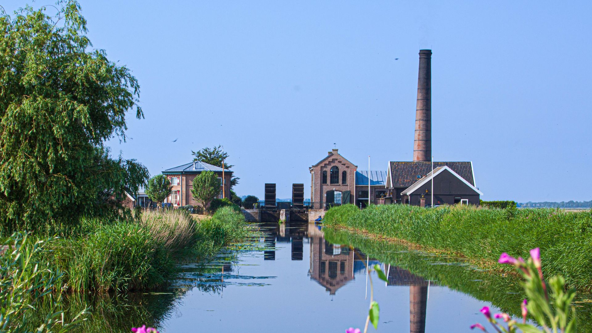 Foto: Zomerse maaldag in de polder Arkemheen