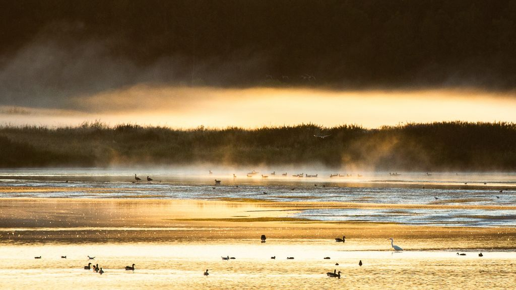 Foto: 29 april 2023 maaldag stoomgemaal Arkemheen