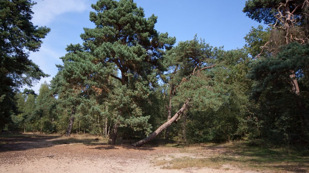 Foto: Lange dagwandeling de Sysselt