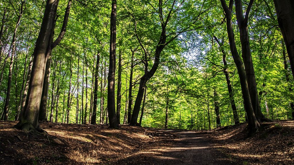 Foto: FNV: Boswachters gaan voor loonsverhoging