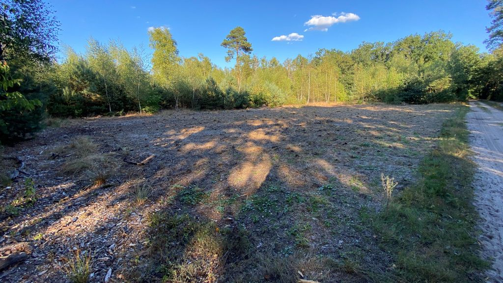 Foto: Boeren niet gestraft voor vernielen natuurgebied: 'Geweldig nieuws'