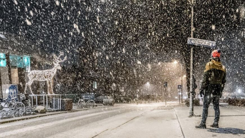 Foto: Zo zag Gelderland eruit na de eerste sneeuw
