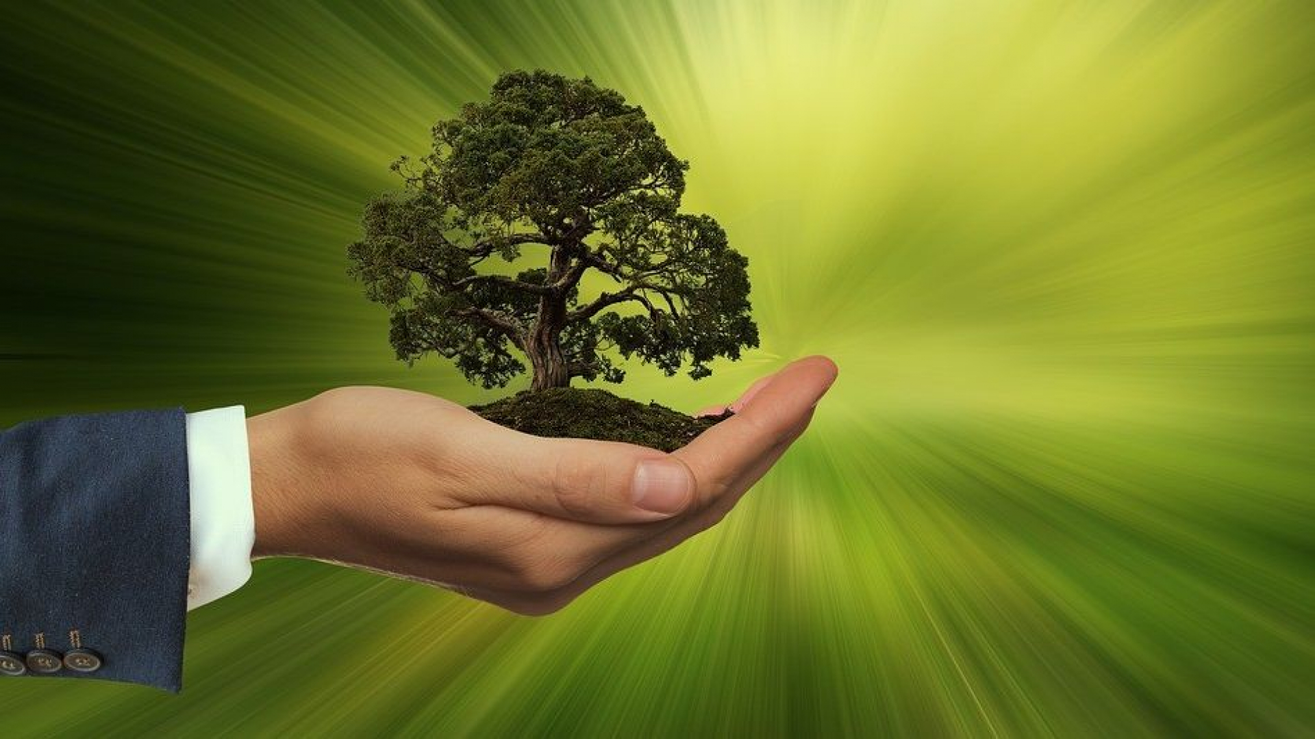 Foto: Organiseer een actie of activiteit tijdens de Week van de Duurzaamheid