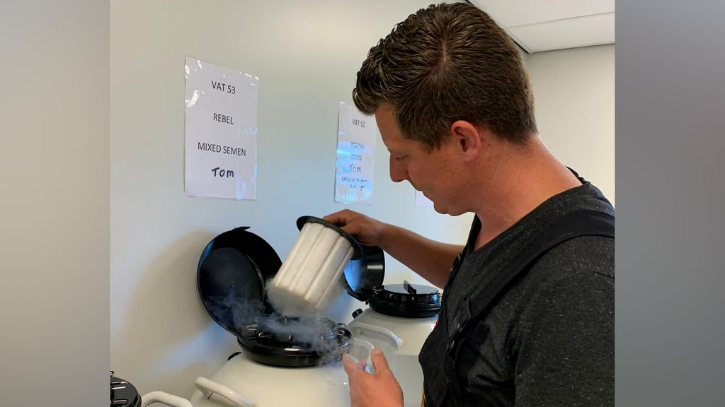 Foto: ‘Ze moeten boeren wel de hand reiken anders wordt het echt oorlog’