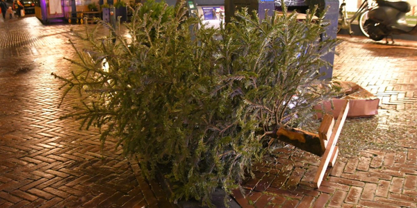 Foto: Kerstbomen inleveren gemeente Barneveld