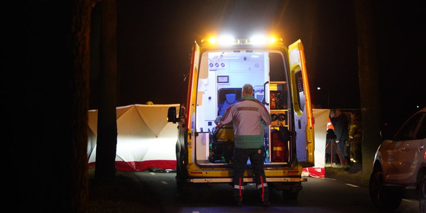 Foto: Auto botst tegen boom, bestuurder overleden