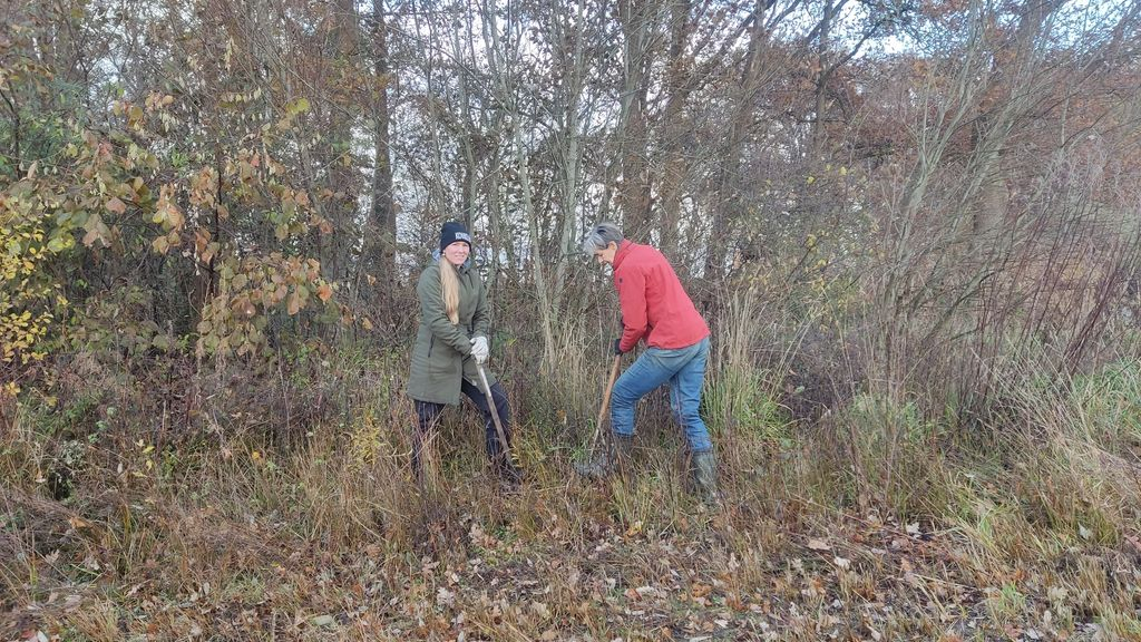 Foto: Grote Oogstdagen in Nunspeet