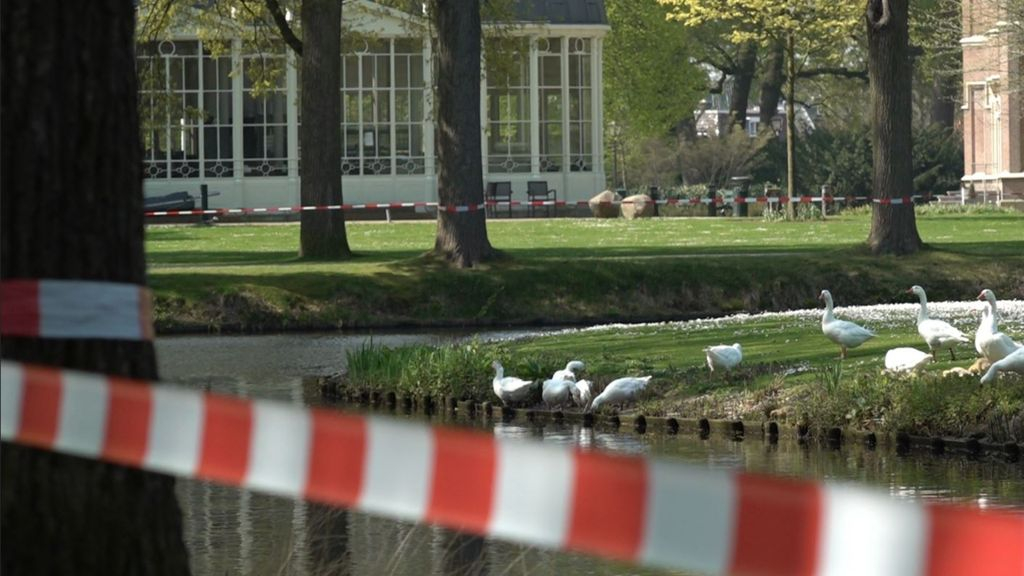 Foto: 'Veel watervogels is vragen om problemen', zeggen ze in Barneveld