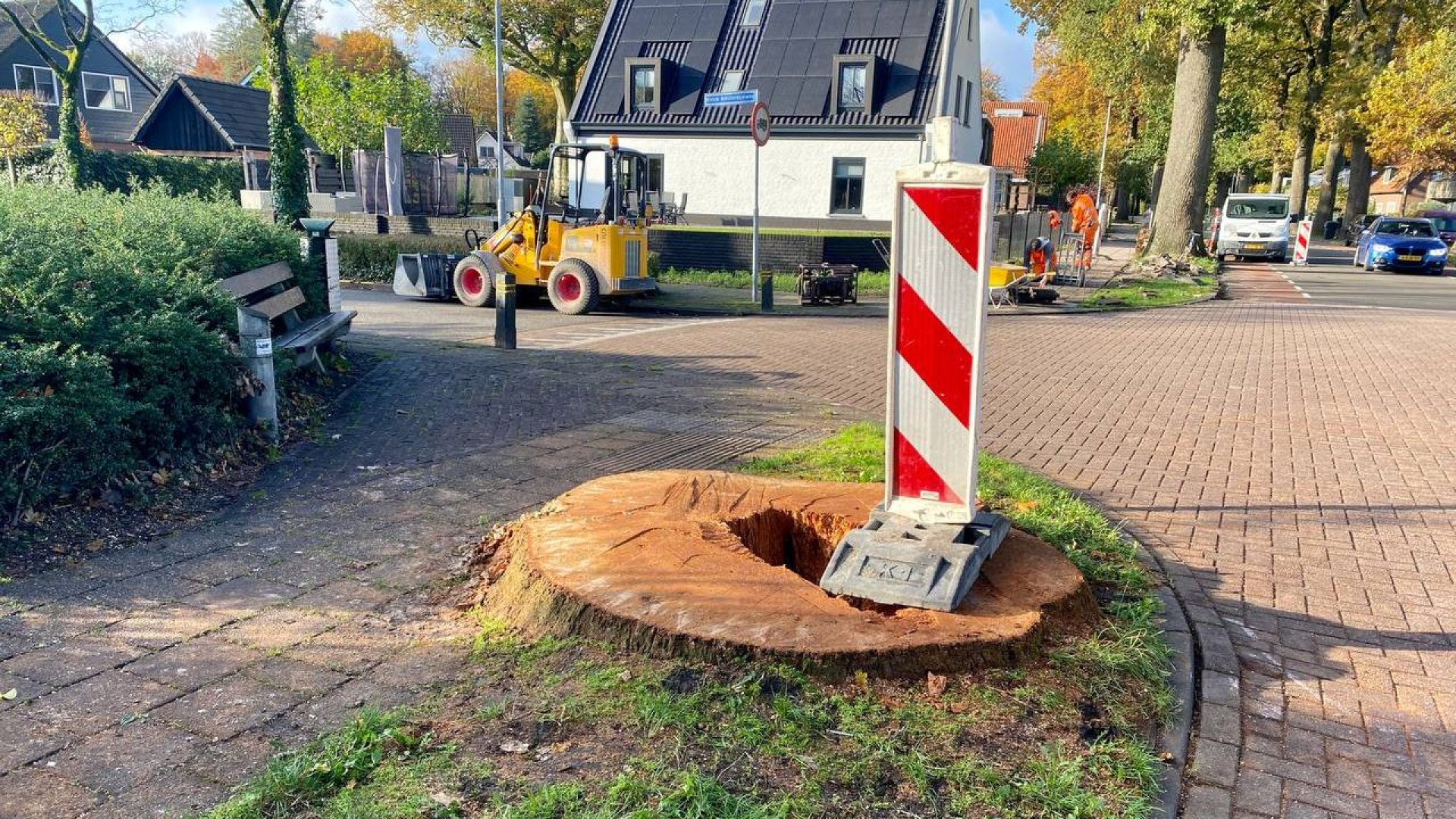 Foto: Monumentale zomereik Harderwijkerweg gekapt